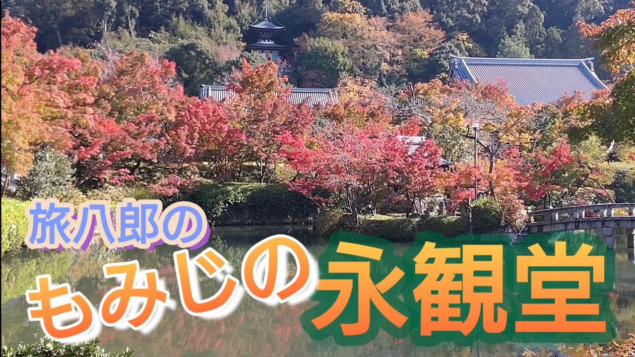 永観堂／もみじの秋