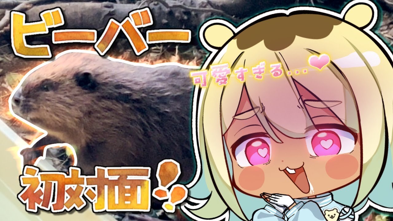 【vlog】ビーバーモチーフVtuber、ついに本物に会う。