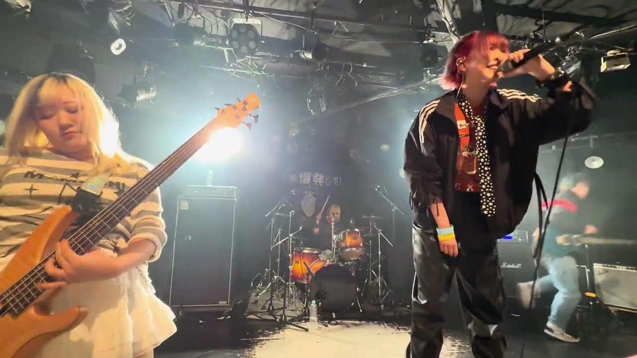 Wisteria - LIVE at shibuya eggman 【2/17/2025】