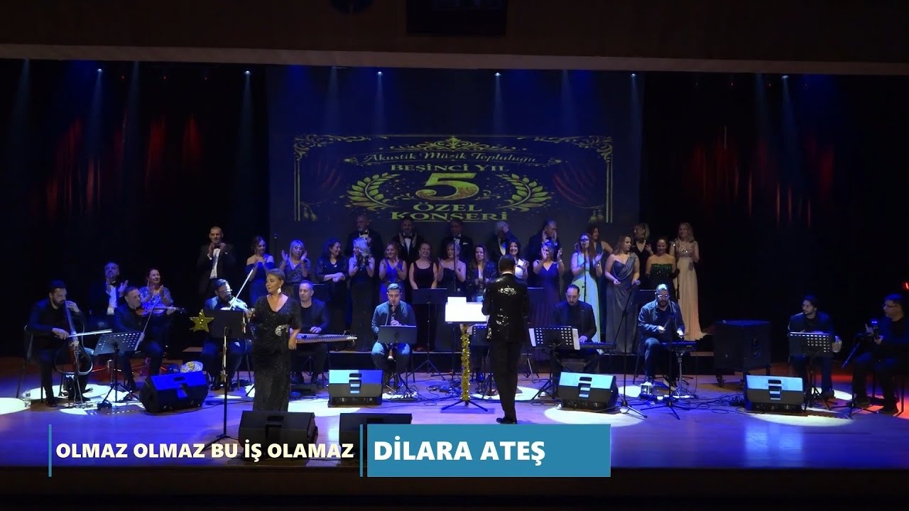 DİLARA ATEŞ - OLMAZ OLMAZ BU İŞ OLAMAZ