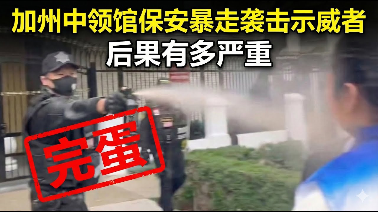 暴走袭击示威者的加州中领馆保安，竟然是安保公司老板？后果可能有多严重：牢底坐穿，家财散尽，声败名裂，生意泡汤，不是美籍绝对驱逐出境。中领馆保他？不落井下石就不错了🤣