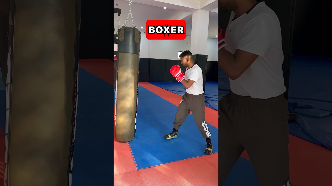 BOXER VS BRAWLER