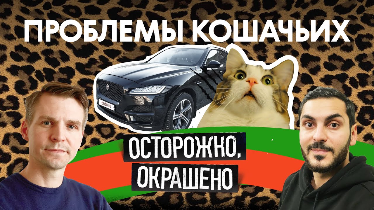 Как выбрать Jaguar F-Pace, если у тебя лапки