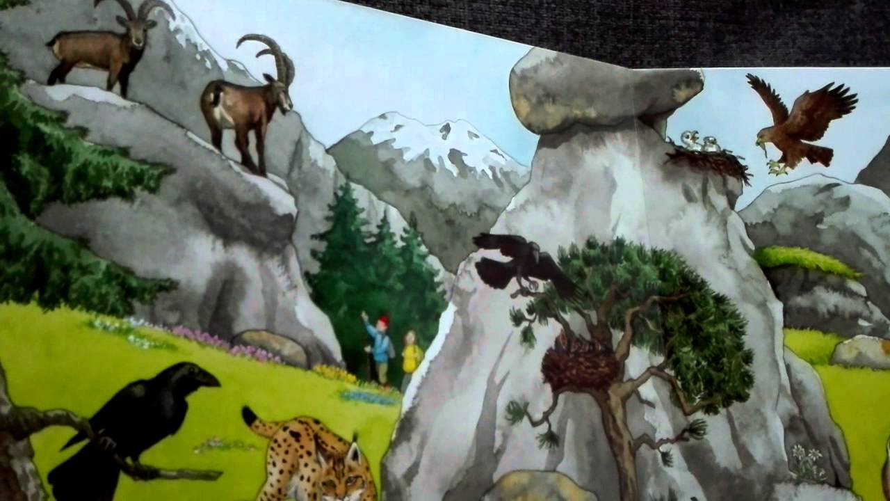 tiptoi,Bilderlexikon,tiere,über stock und Stein,im urwald ist es ziemlich laut