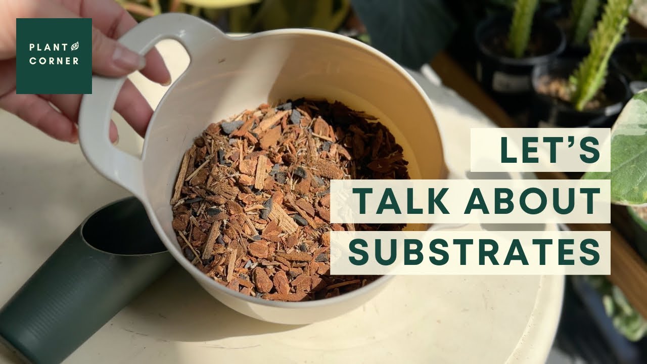 Which substrate is best for your plants?