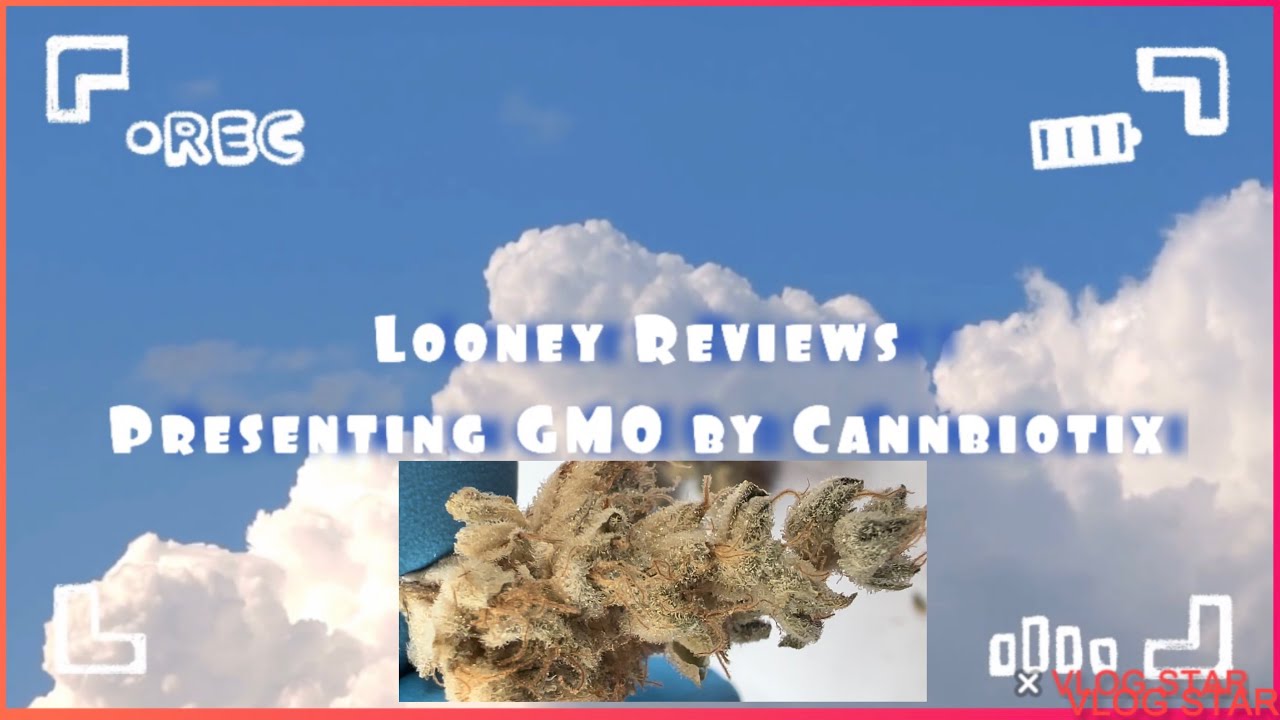 Strain Review: GMO (Cannabiotix) #12
