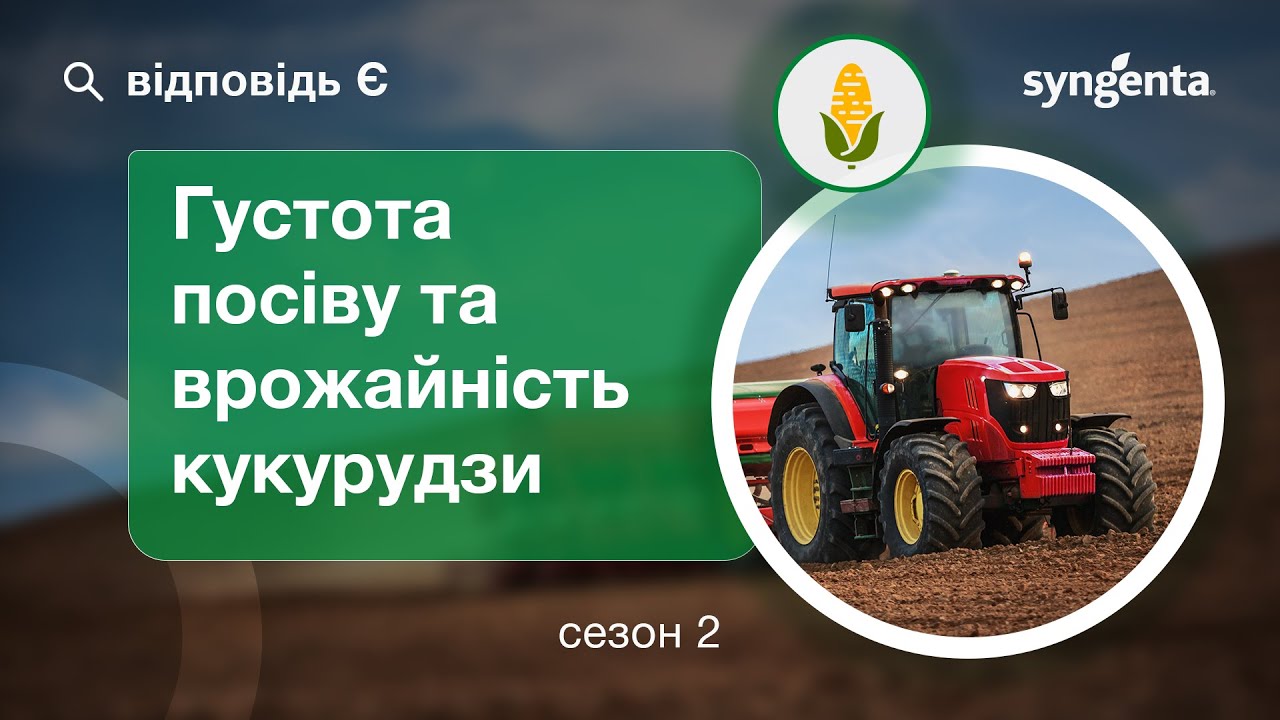 ВідповідьЄ. Густота посіву кукурудзи