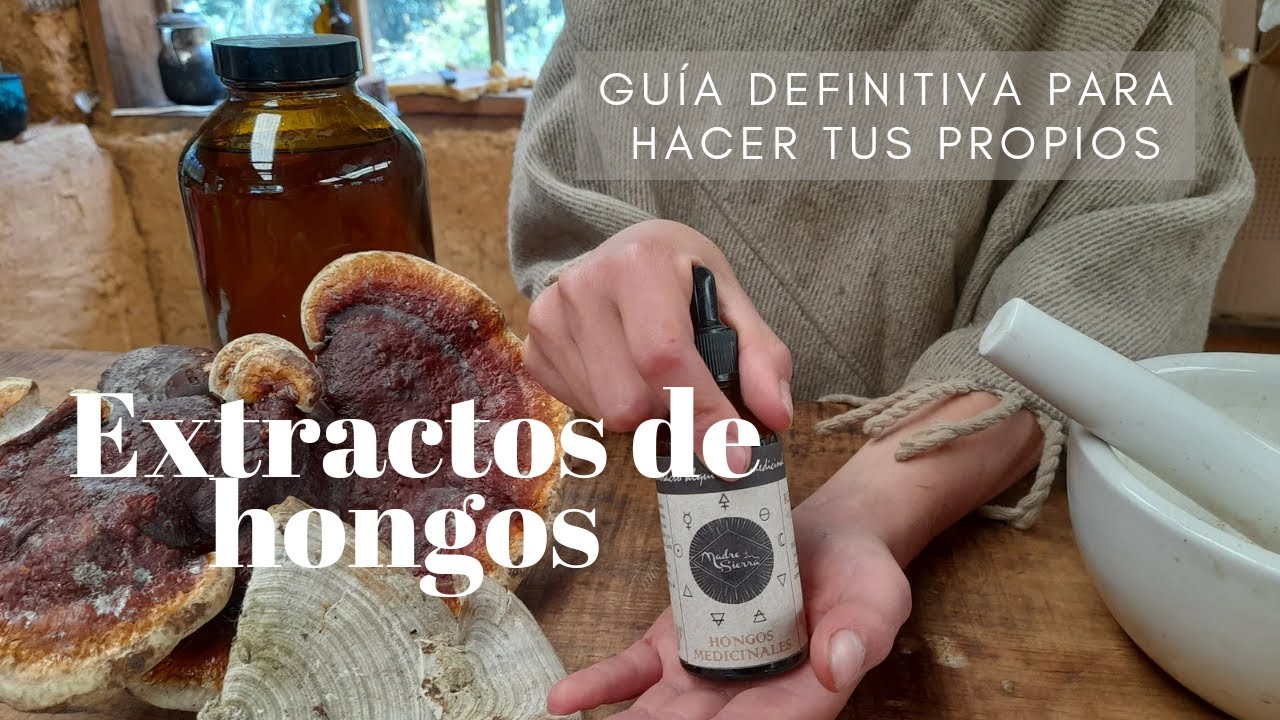 El mejor metodo para hacer EXTRACTO DE HONGOS MEDICINALES. Reishy, cola de pavo, melena, etc.