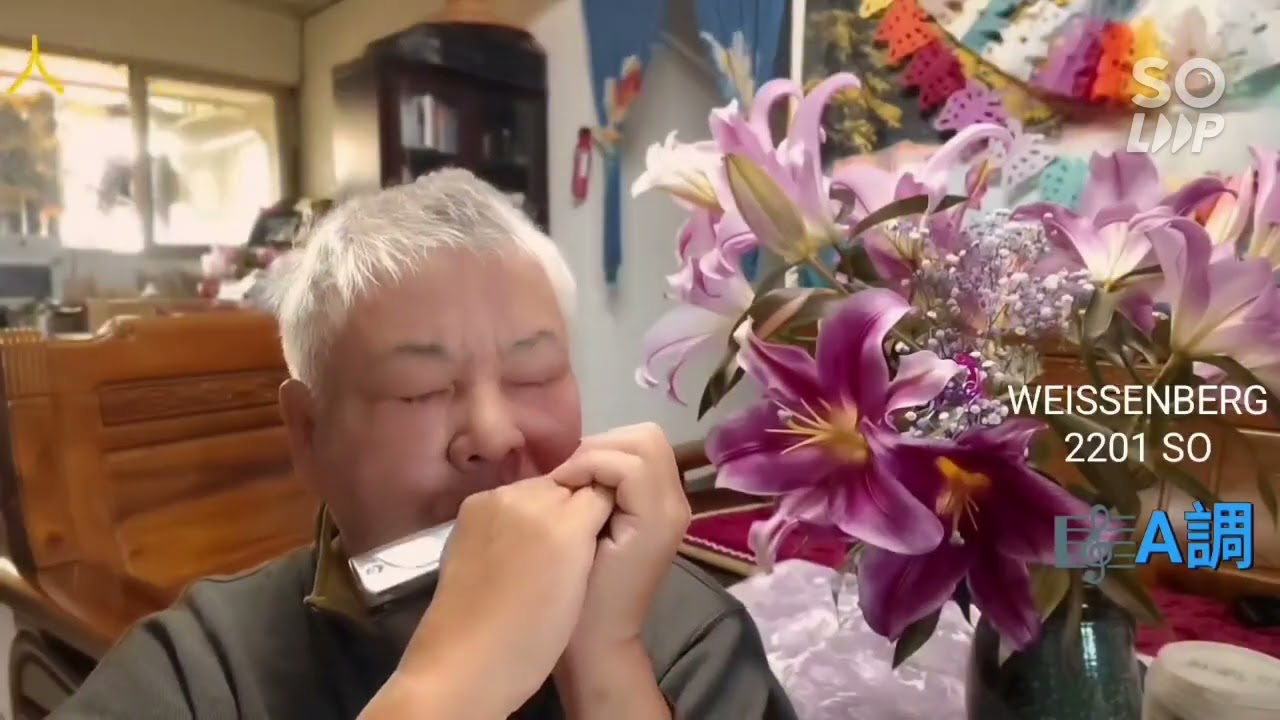 難忘的初戀情人