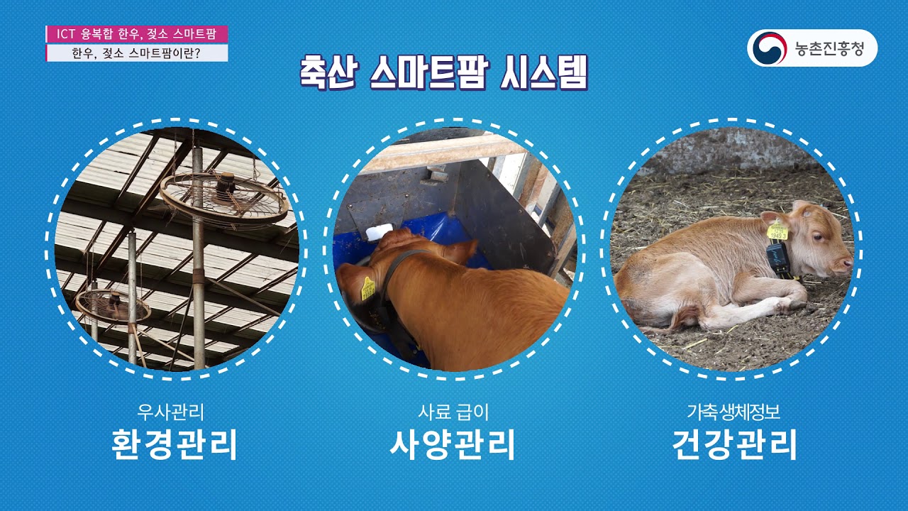 농촌진흥청 축산 ICT 스마트팜 교육용영상