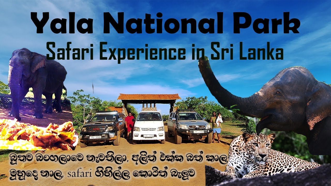 Best Safari Destination | Yala National Park | Safari Experience | New Buthawa Bungalow | Sri Lanka