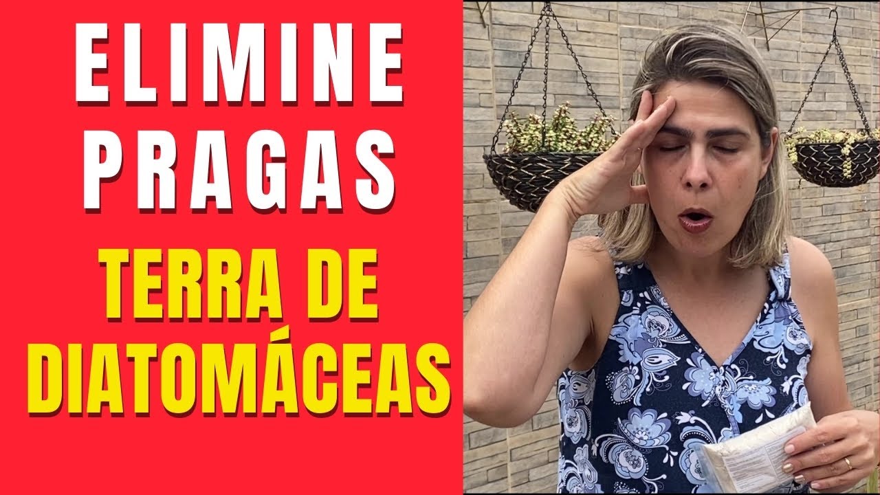 Testando a TERRA DE DIATOMACEA contra PRAGAS/Grazi Bittencourt