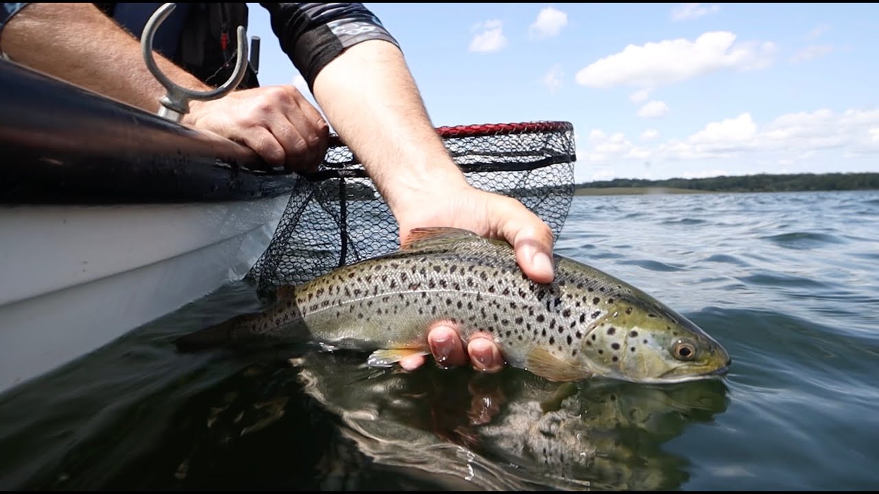 Targeting Monster Brown Trout On Rutland Water