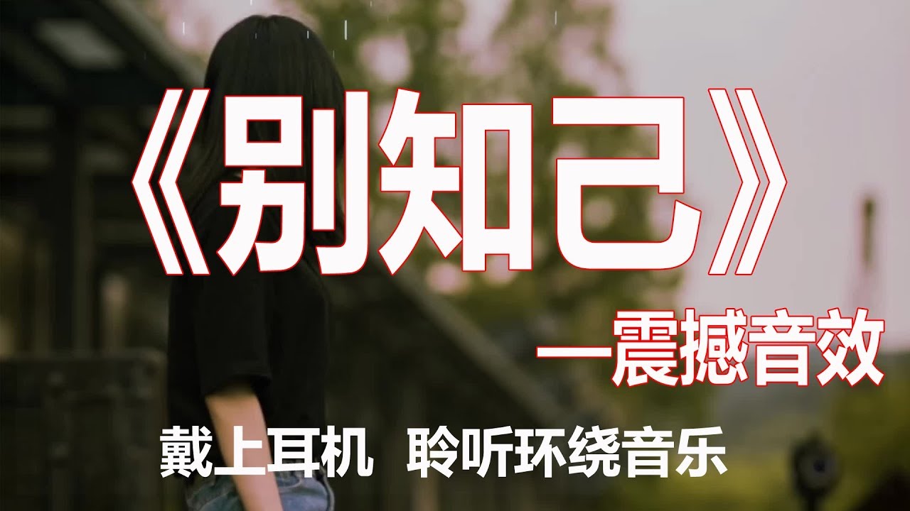 戴上耳机《别知己》3D震撼音效{在你踏上离别的火车,那一刻 我只顾着流泪,忘了挥手忘了说再见}，配『動態歌詞Lyrics』