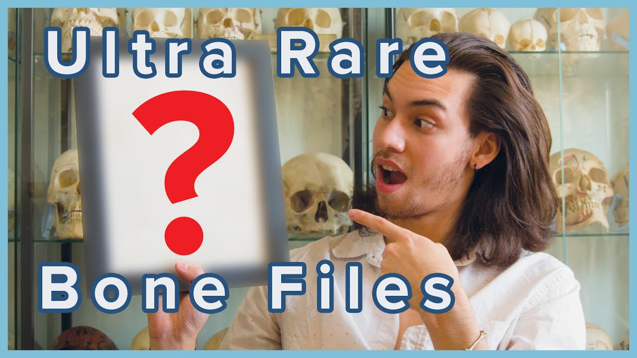RARE HUMAN BONE PAPERWORK | JonsBones