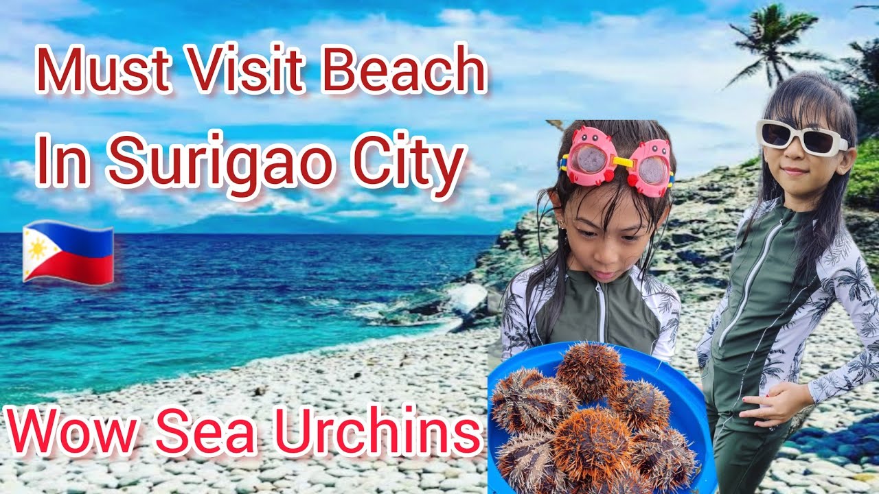 THE WONDROUS MABUA PEBBLE BEACH  Surigao City, Philippines+First time touching sea urchins