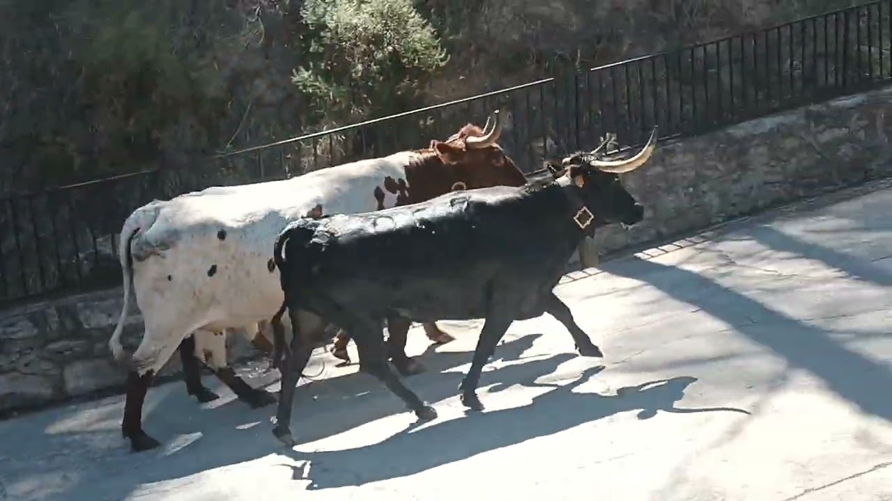 SEGORBE subida del rio