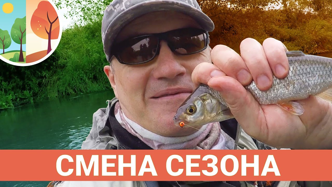 Смена сезонов. В один день сухая мушка и нимфа. Ловля нахлыстом.