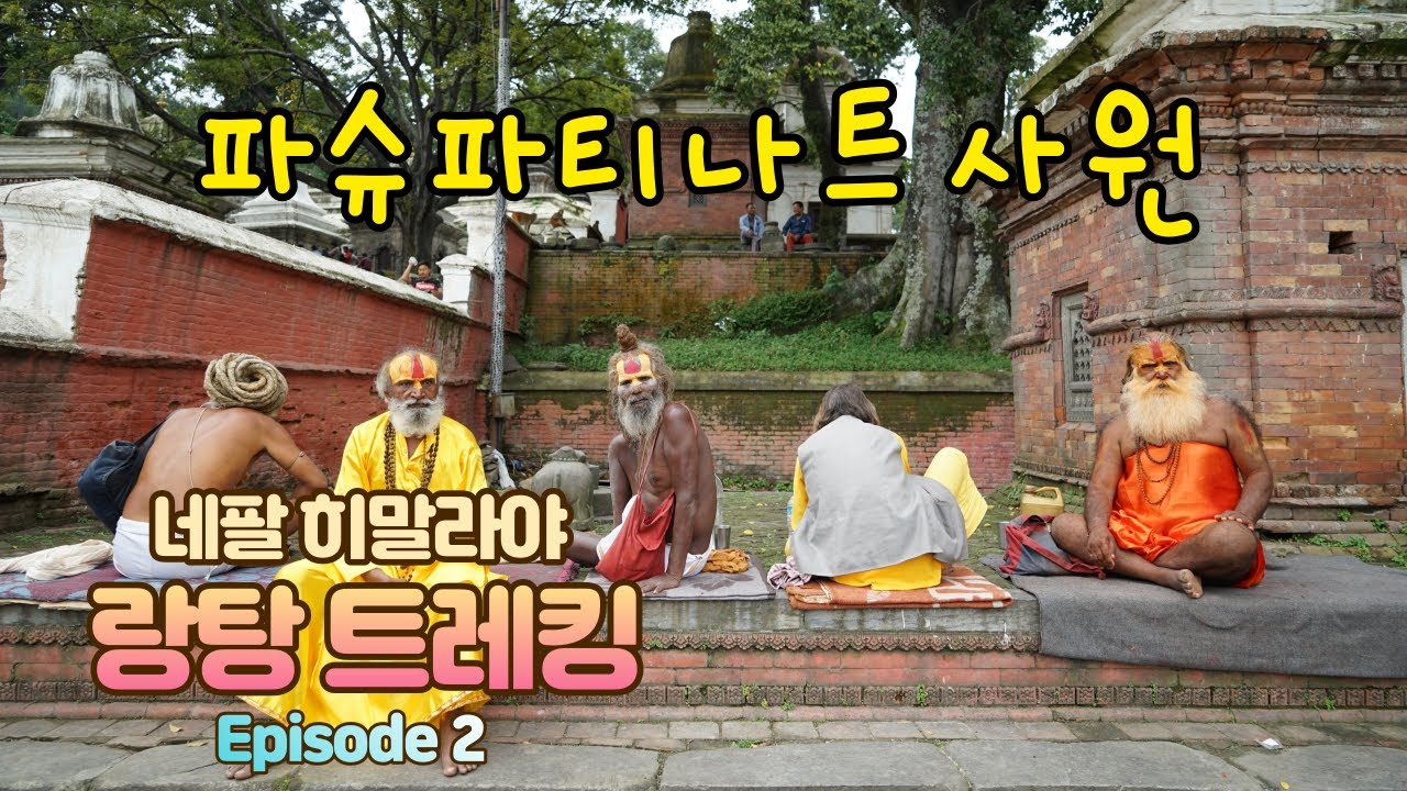 [랑탕 트레킹2] 파슈파티나트 사원 화장장..중식 요리 한접시가 달랑 만원! Pashpatinat's crematorium