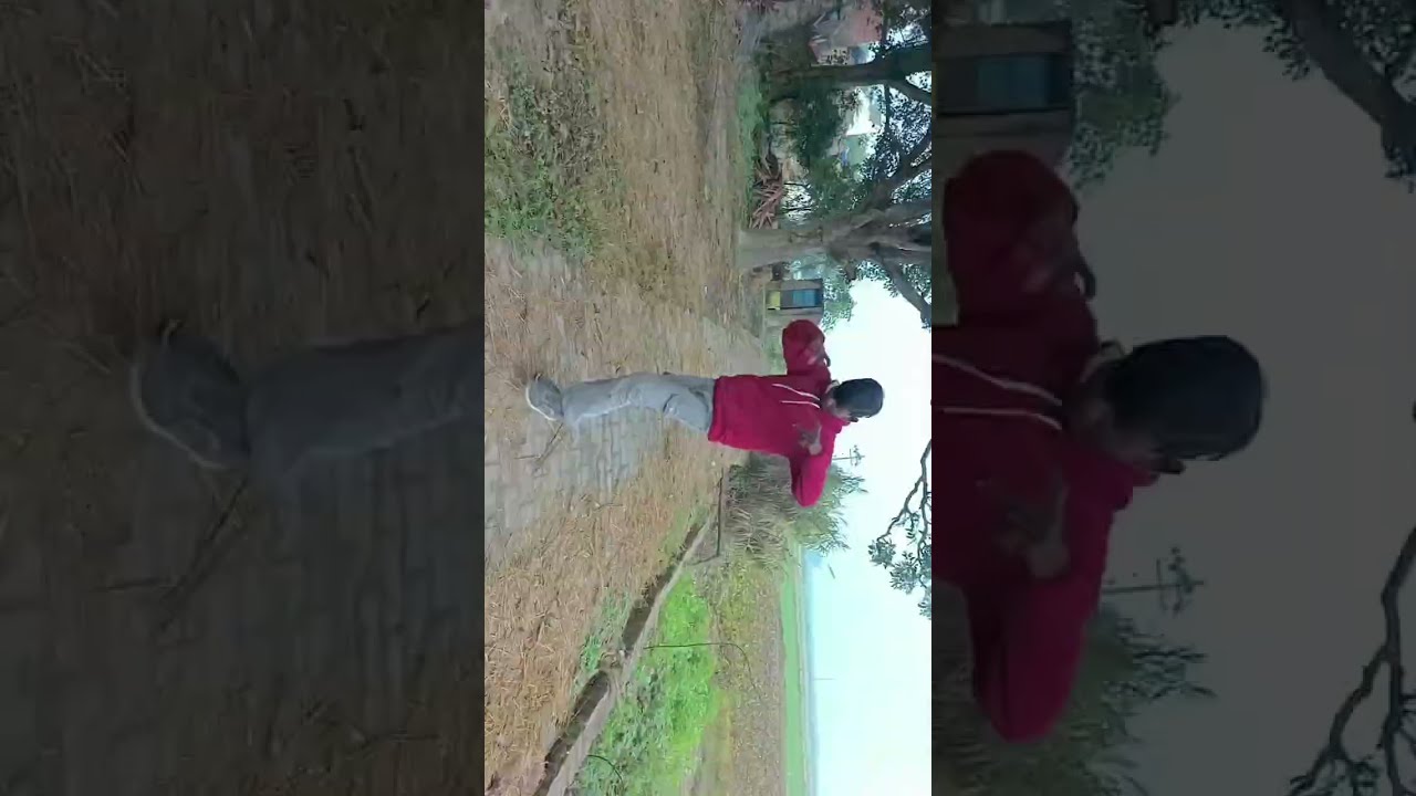 दिल ना दिया दिल ना लिया #dance #bhojpurimusic #dil na diya dil na liya 