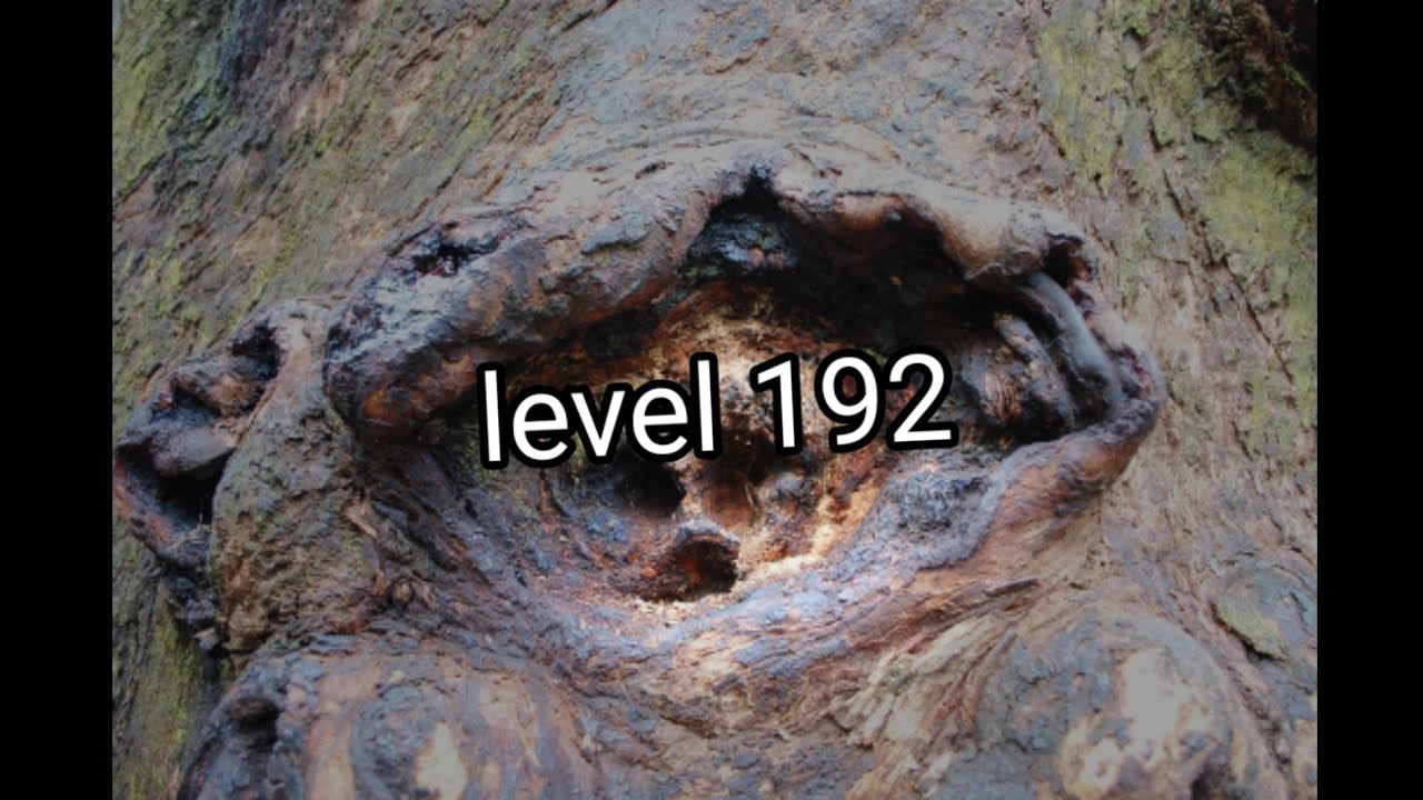 level 192 of the backrooms
