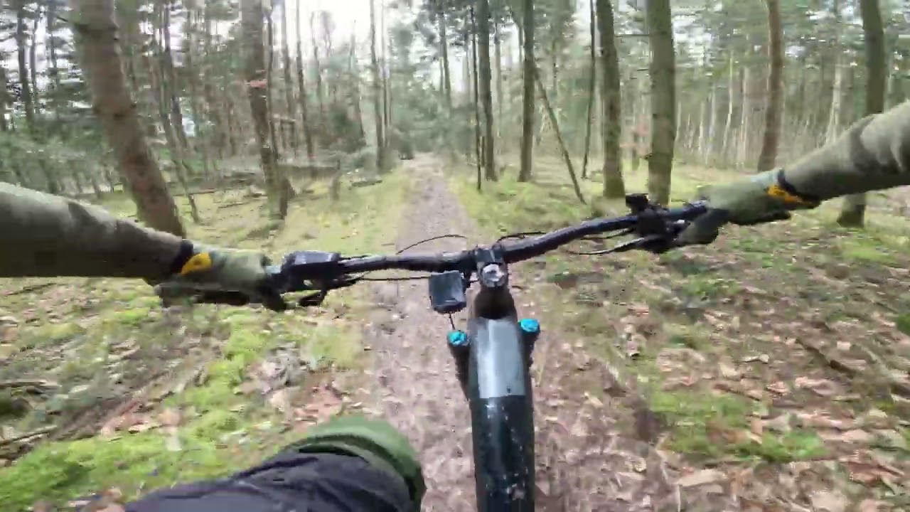 E MTB Tour mit dem Bosch CX Smart 750, Cube Stereo Hybrid TM 750, Go Pro 12 test