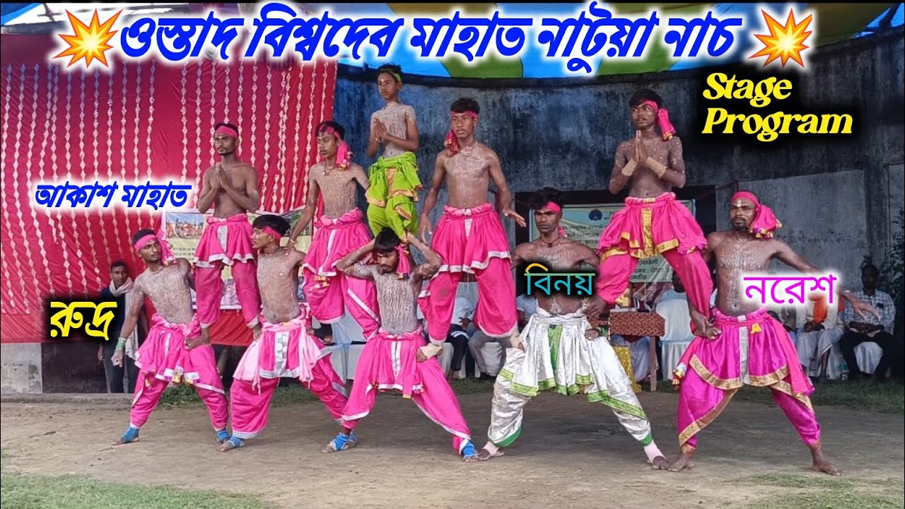 ওস্তাদ বিশ্বদেব মাহাত নাটুয়া নাচ 🔥 Bishwadev mahato natua nach stage program 🔥