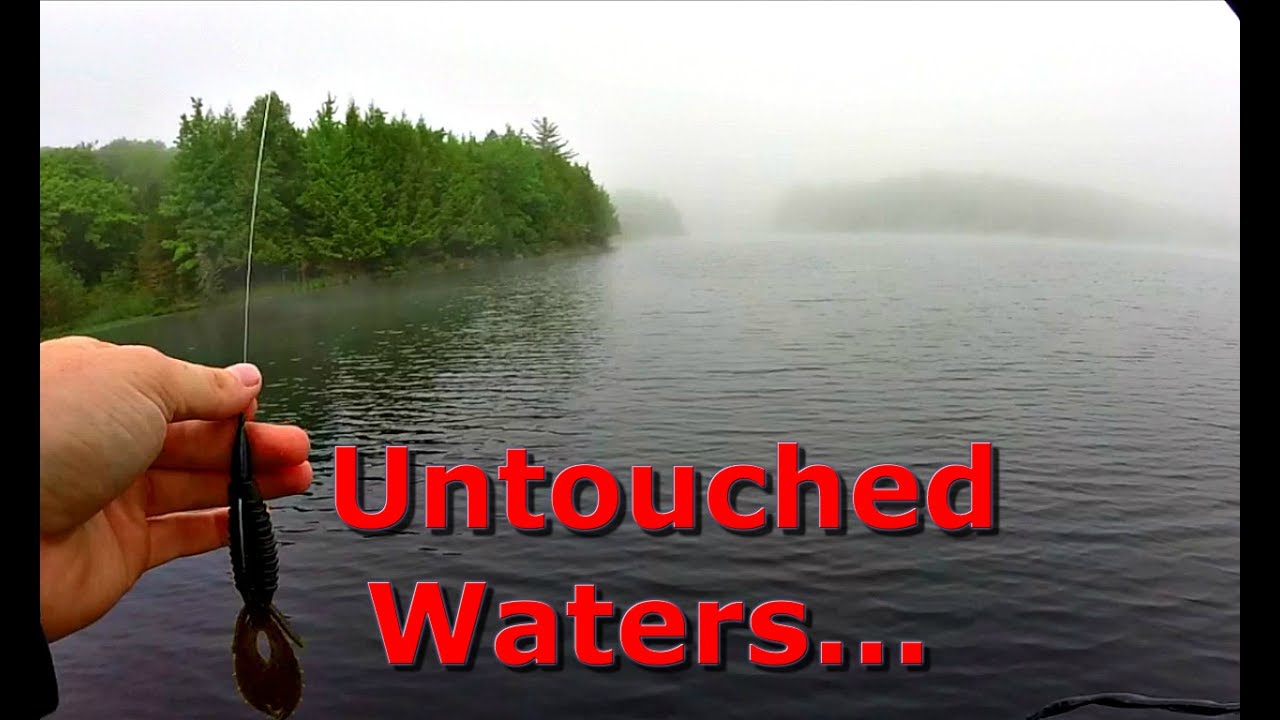 Fishing Remote Lake DEEP In the Woods of Northern Wisconsin