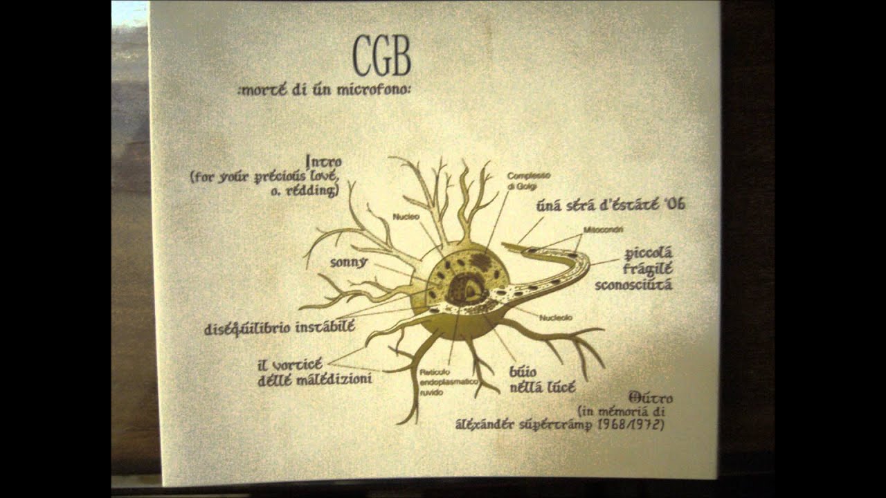 CGB morte di un microfono