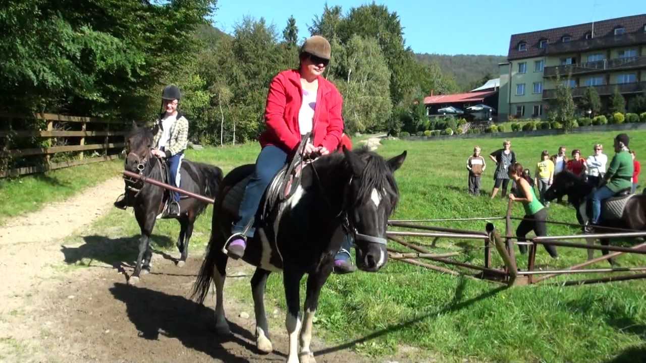 Stadnina koni huculskich w Brennej