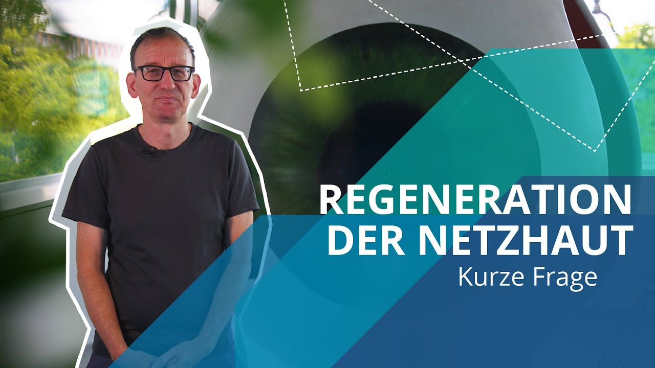 Wie lassen sich Netzhauterkrankungen heilen? 👁️ | »Kurze Frage« an Prof. Marius Ader