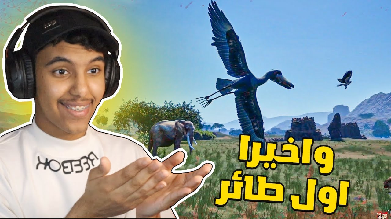 انيمليا سيرفايفل #15 : واخيرا اول طائر فالعبة ! | Animalia Survival
