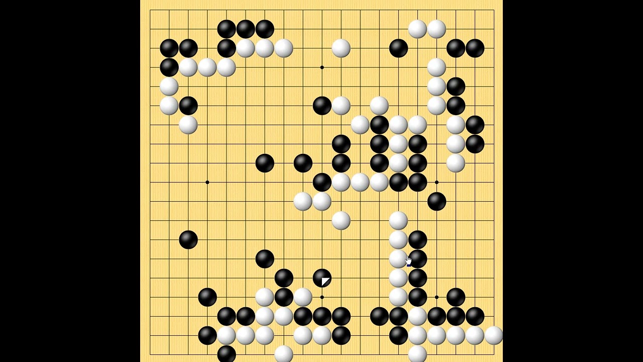 타이젬 바둑2단분들   바둑기보입니다
