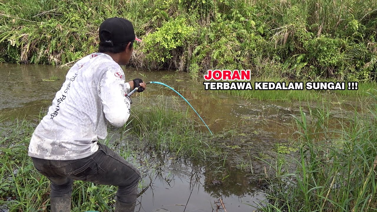 Joran pemancing tak sanggup lagi melawan tarikan liar ikan penghuni sungai #SG-164