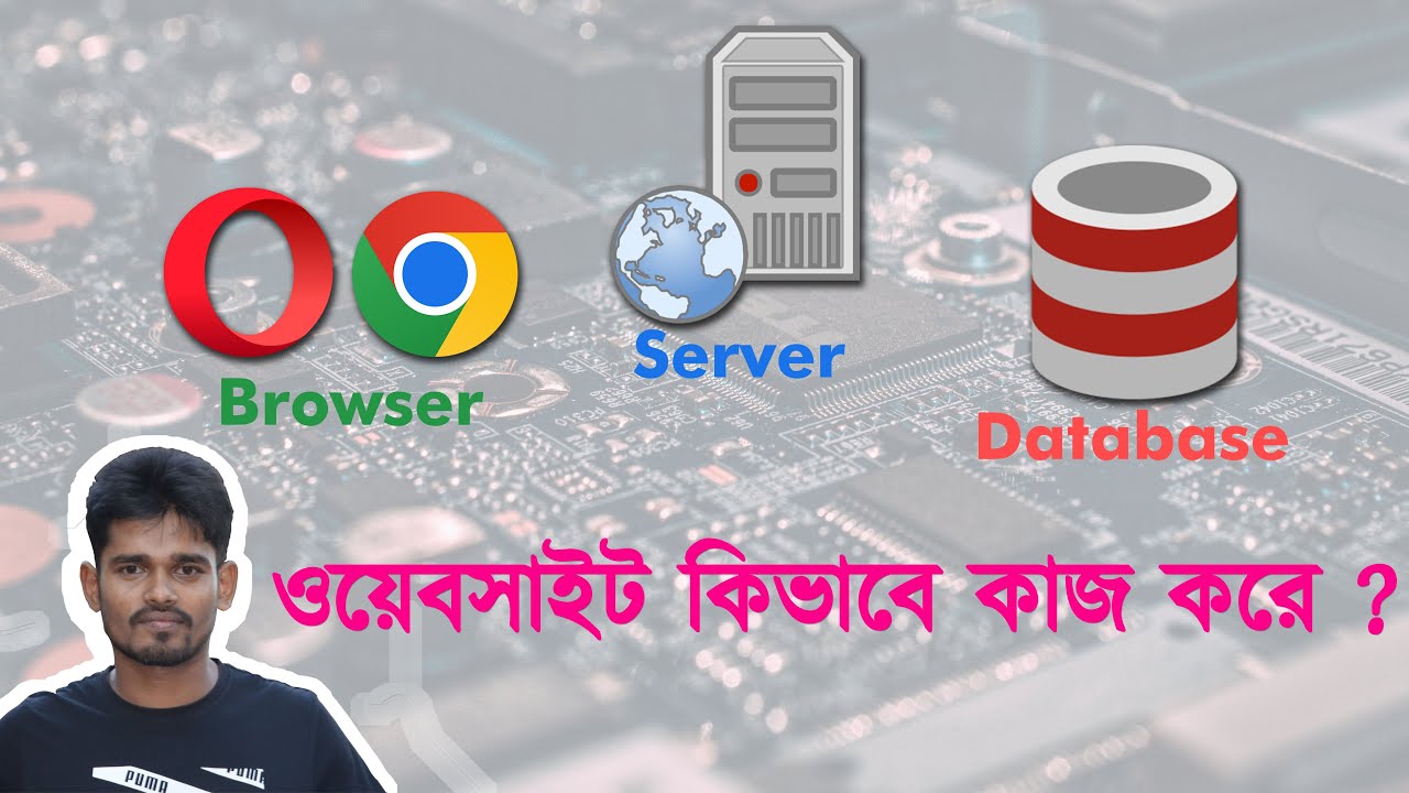 How a website works | how server browser database works in bangla