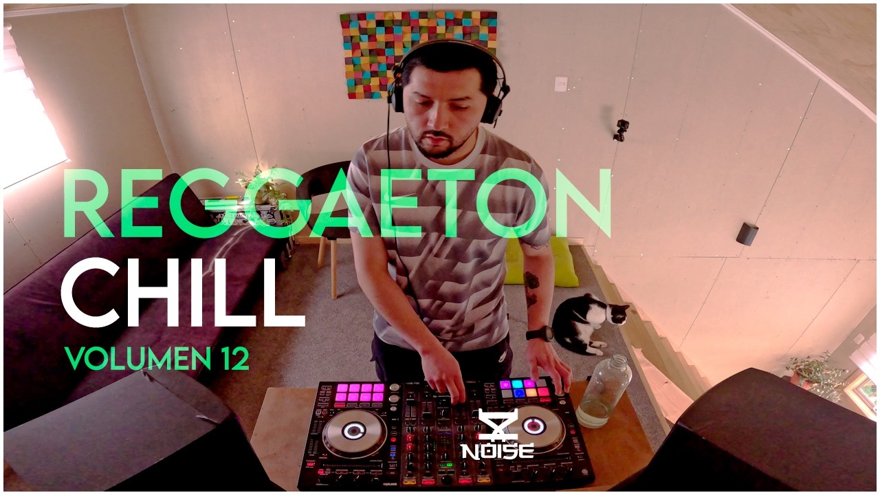 Reggaeton FlowHot Chill Mix | Ozuna, Plan B, Yandel, Nicky Jam, Tony Dize | DJ Noise #12