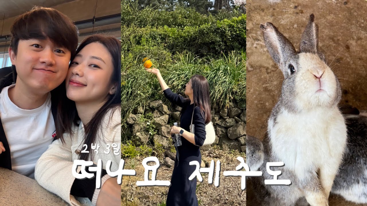 [여행VLOG] 오랜만에 제주도 2박 3일✈️ 유채꽃 스팟, 호커센터, 콘스트호텔, 한라산아래첫마을, 스시애월, 새별프렌즈, 숙성도