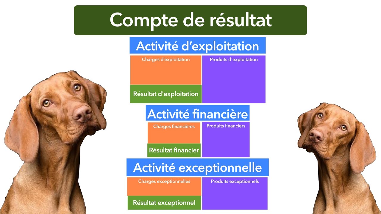 ✅ Présentation du compte de résultat - Activités : d’exploitation ; financière et exceptionnelle
