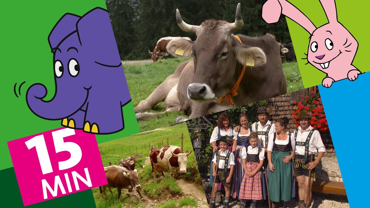 Hallo Elefant - Sommer auf der Alpe & Wie wird Bergk&auml;se hergestellt? | Der Elefant |&nbsp;WDR