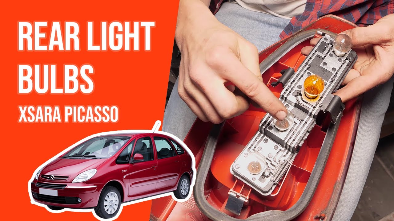 How to replace the rear light bulbs XSARA PICASSO 💡