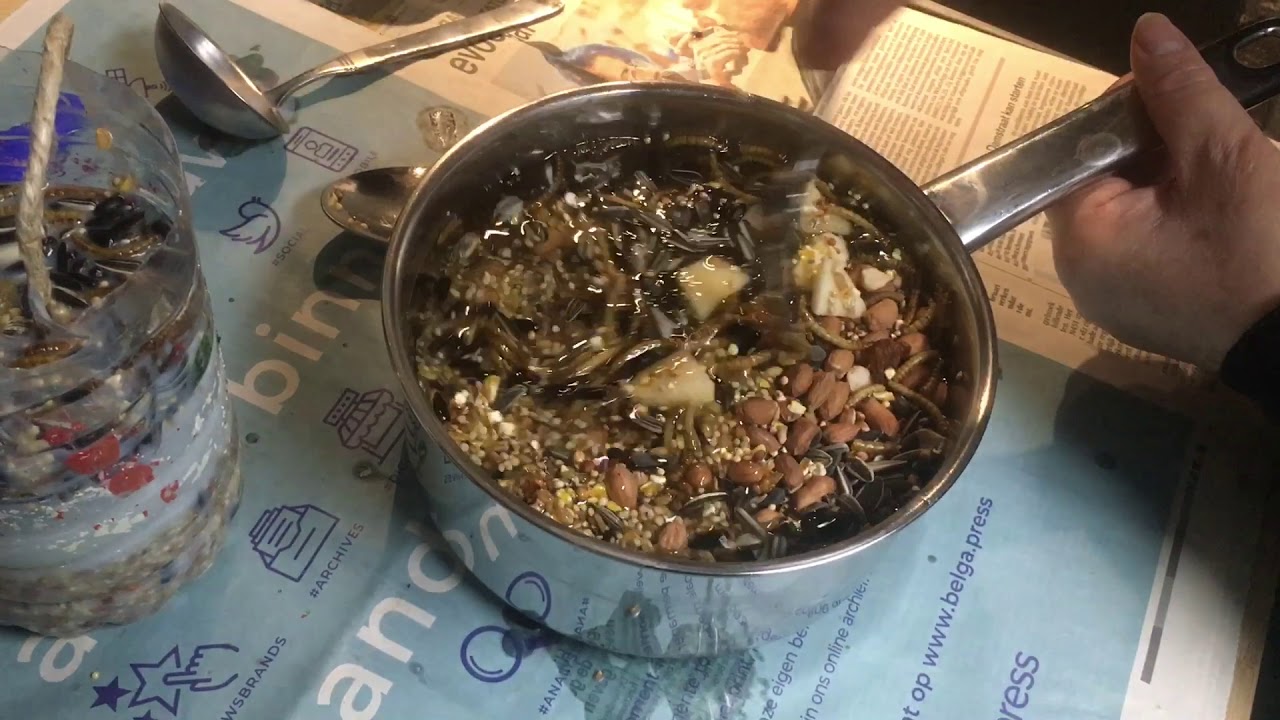 Vetbollen maken voor vogeltjes