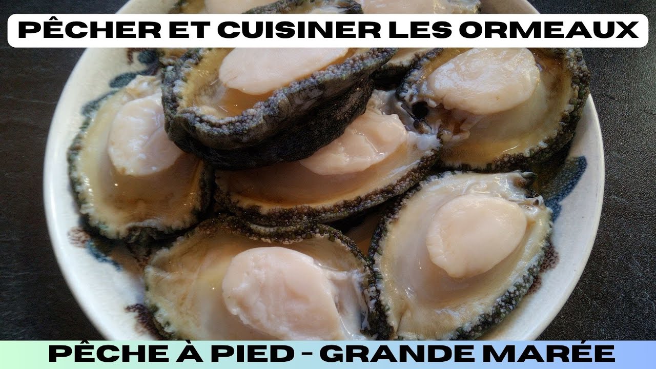 Pêcher et cuisiner l'Ormeau (préparation et recette)