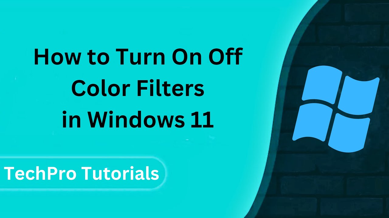 How to Turn On Off Color Filters in Windows 11