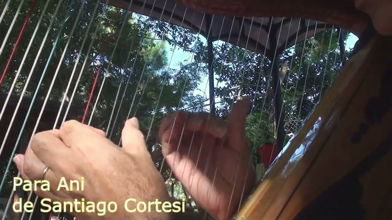 Ejecutando el Arpa Paraguaya en mi Jardín IV