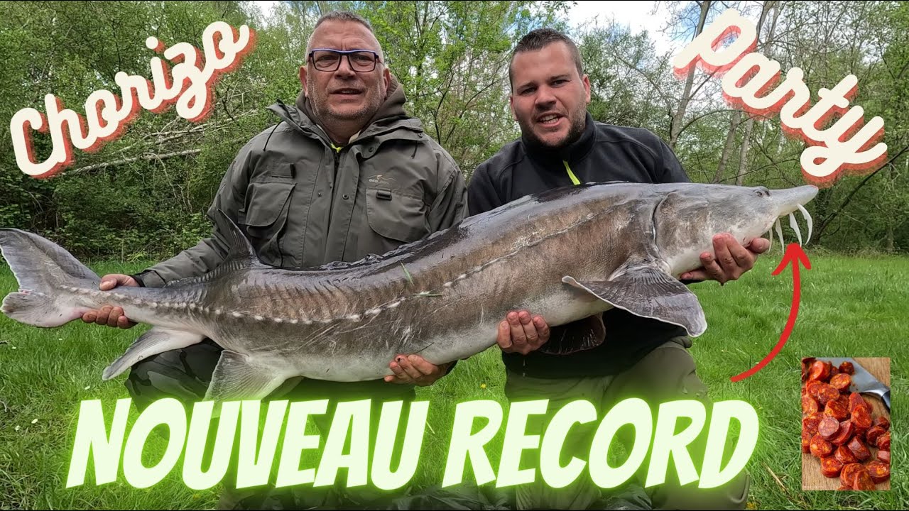 ESTURGEON record domaine de la chapelle en serval