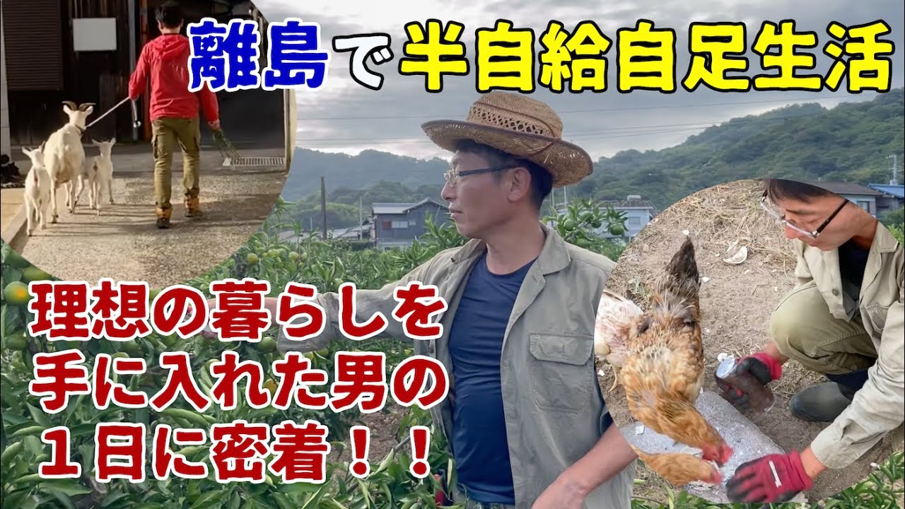 離島で半自給自足生活を手に入れた男の1日に密着！【島暮らしガチ見せvol.1】柑橘農家、地域おこし、鶏、山羊、釣り。柑橘農家でNPO法人農音の代表。多忙ながらも、どことなくのんびりとした生活を初公開！