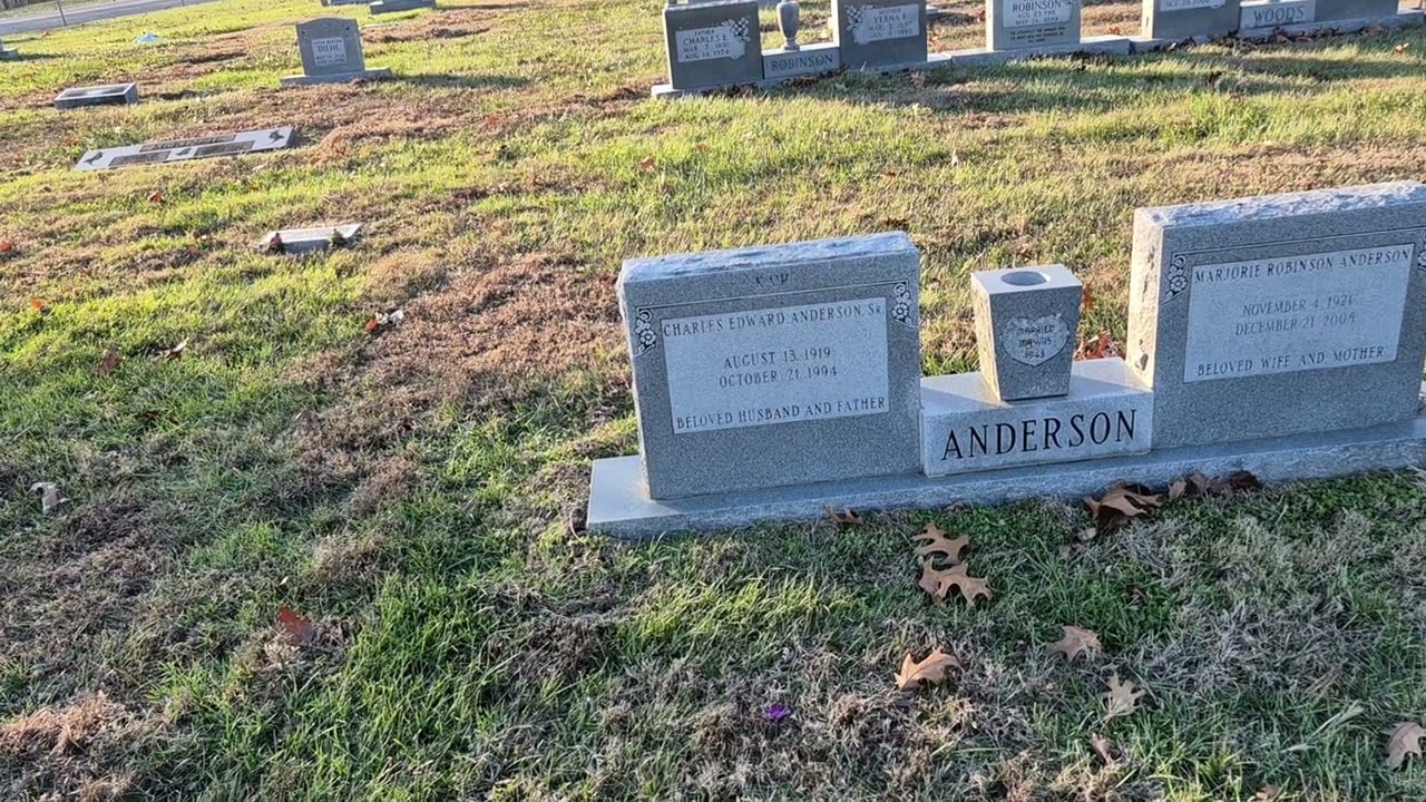 Charles Edward Anderson Sr  - Tuskegee Airman/Weather Officer