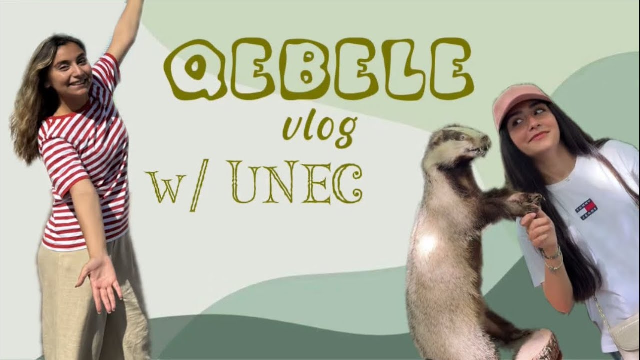 QƏBƏLƏ vlog | diplomatlar bir arada | zəhərləndik?!