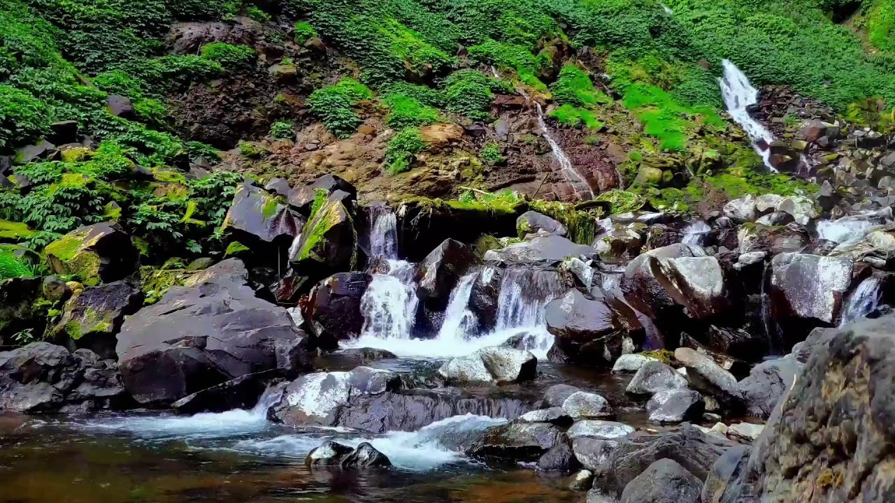 Emotional Healing with Relaxing River Sound – Sleep, Calm and Mind Peace