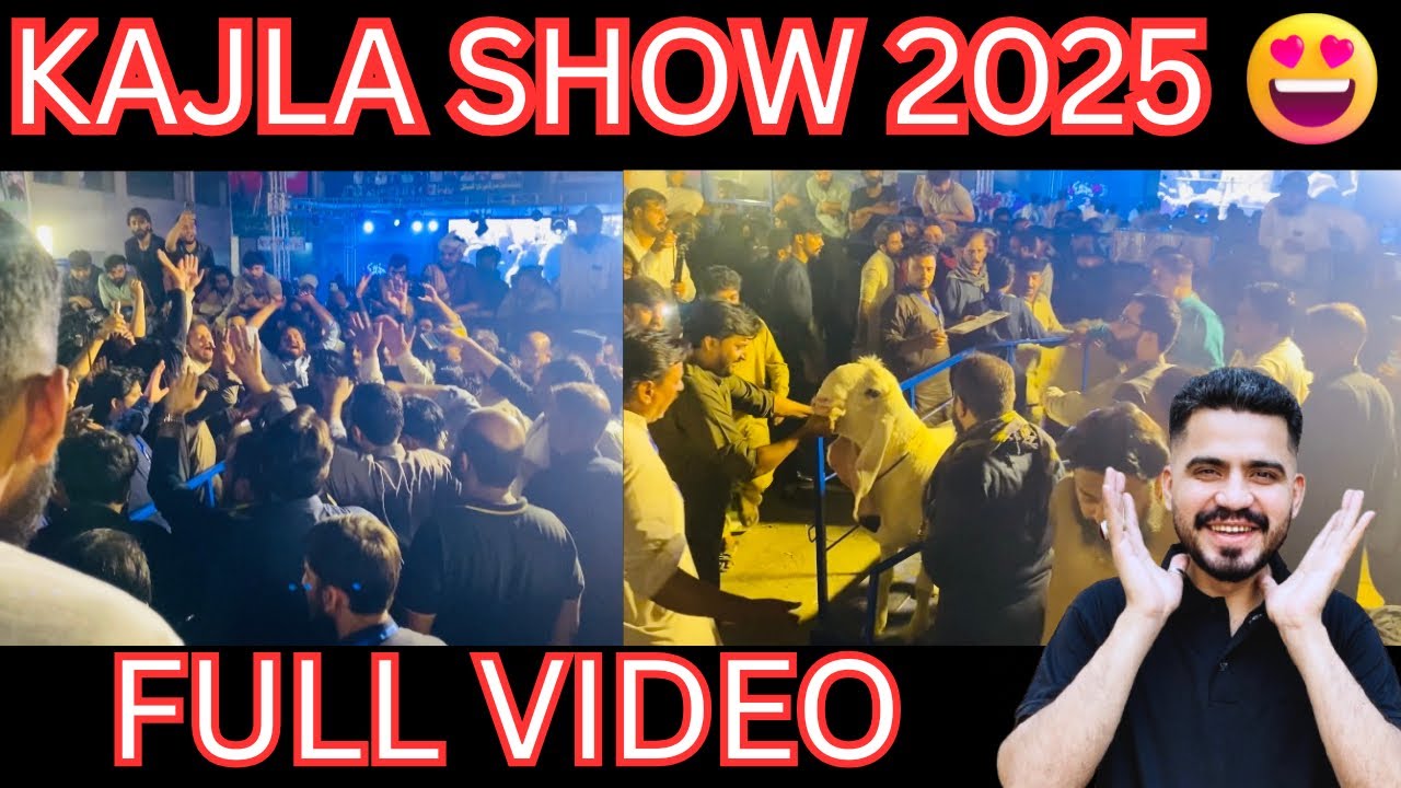 Kajla Show 2025 Heavy Weight Kajla Competition Lahore || Bakra Eid 2025 || Malik Dairy Farm